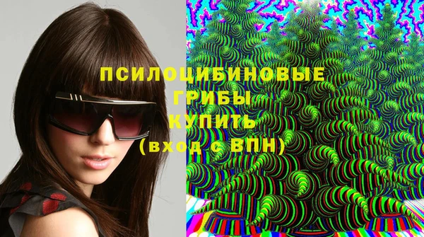 прущий лед Лагань